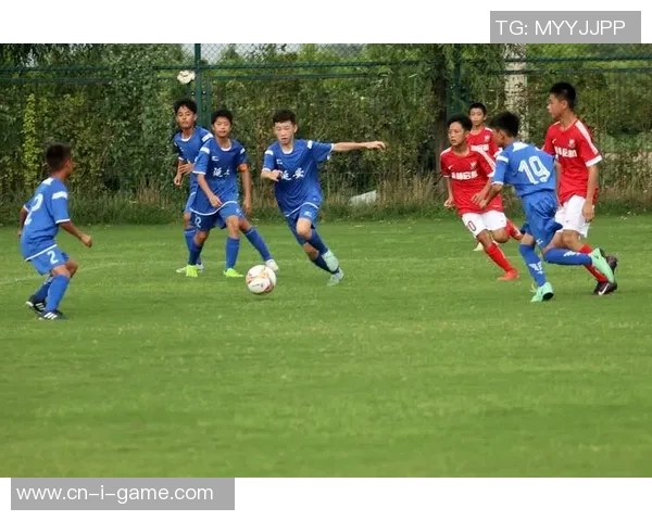 足球比赛精彩回放与分析尽在体育频道带你领略绿茵场上的激情与荣耀